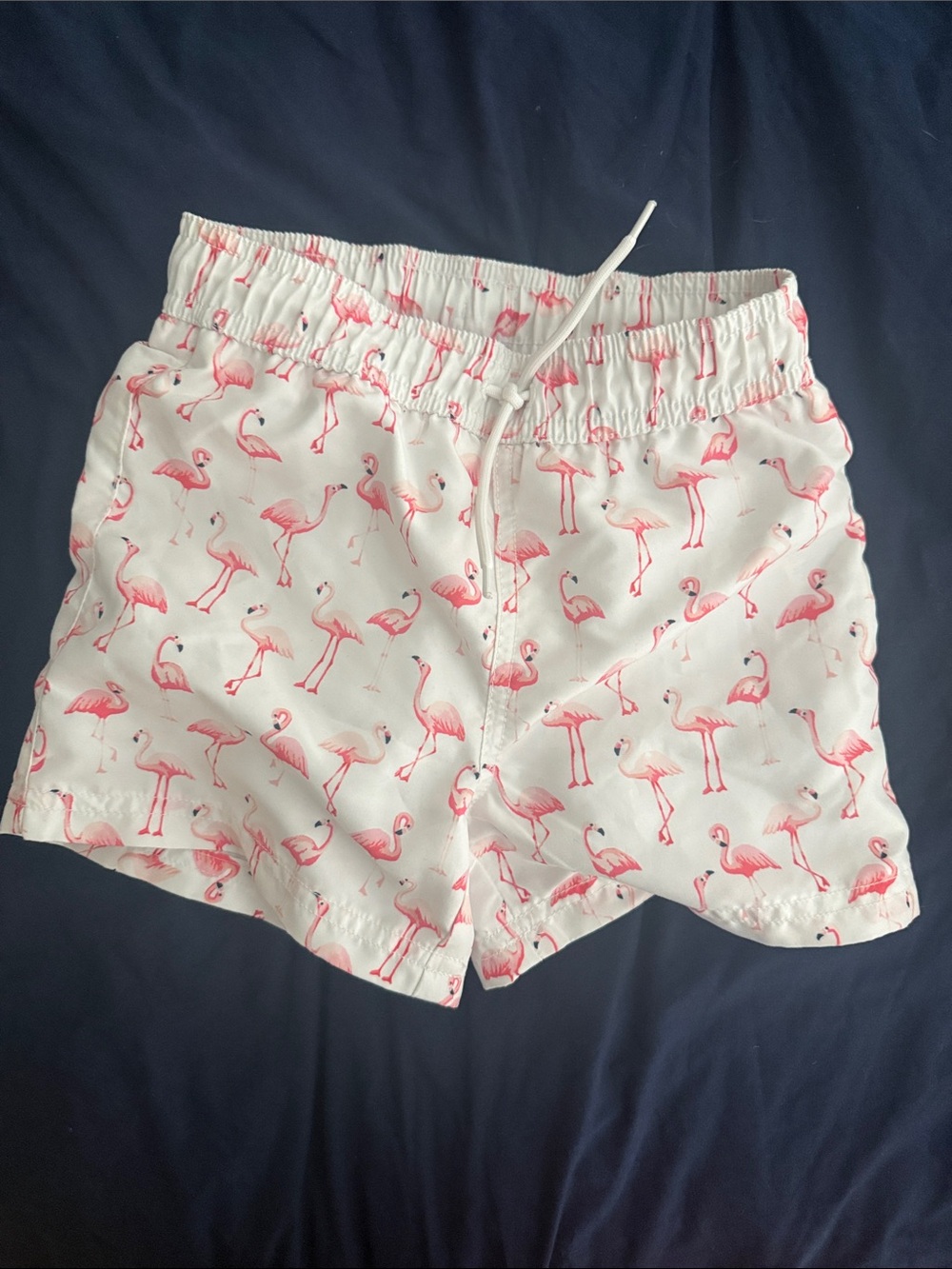 Janie and Jack Flamingo Print Swim Shorts Trunks 4